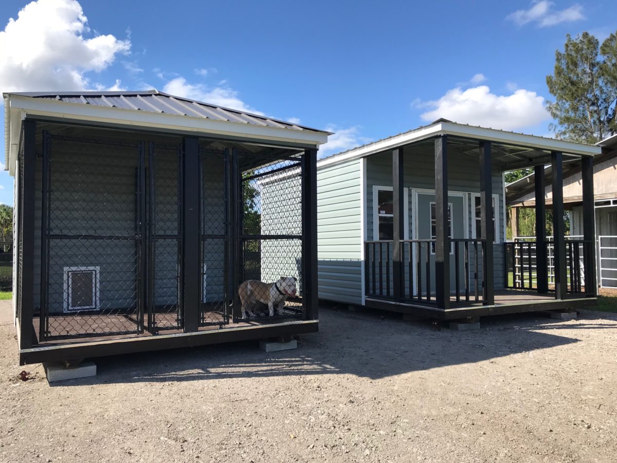 Two small houses with a dog sitting on the front.
